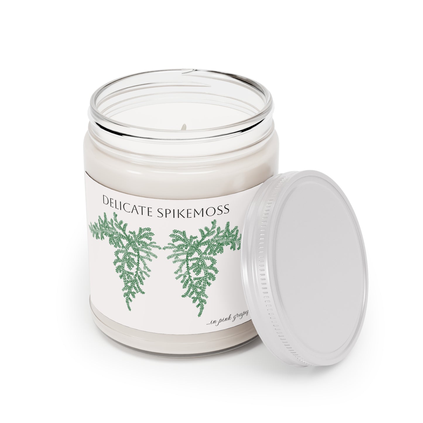 EcoFriendly Candles, featuring Delicate Spikemoss hand drawn art available in lovely non-toxic fragrances.