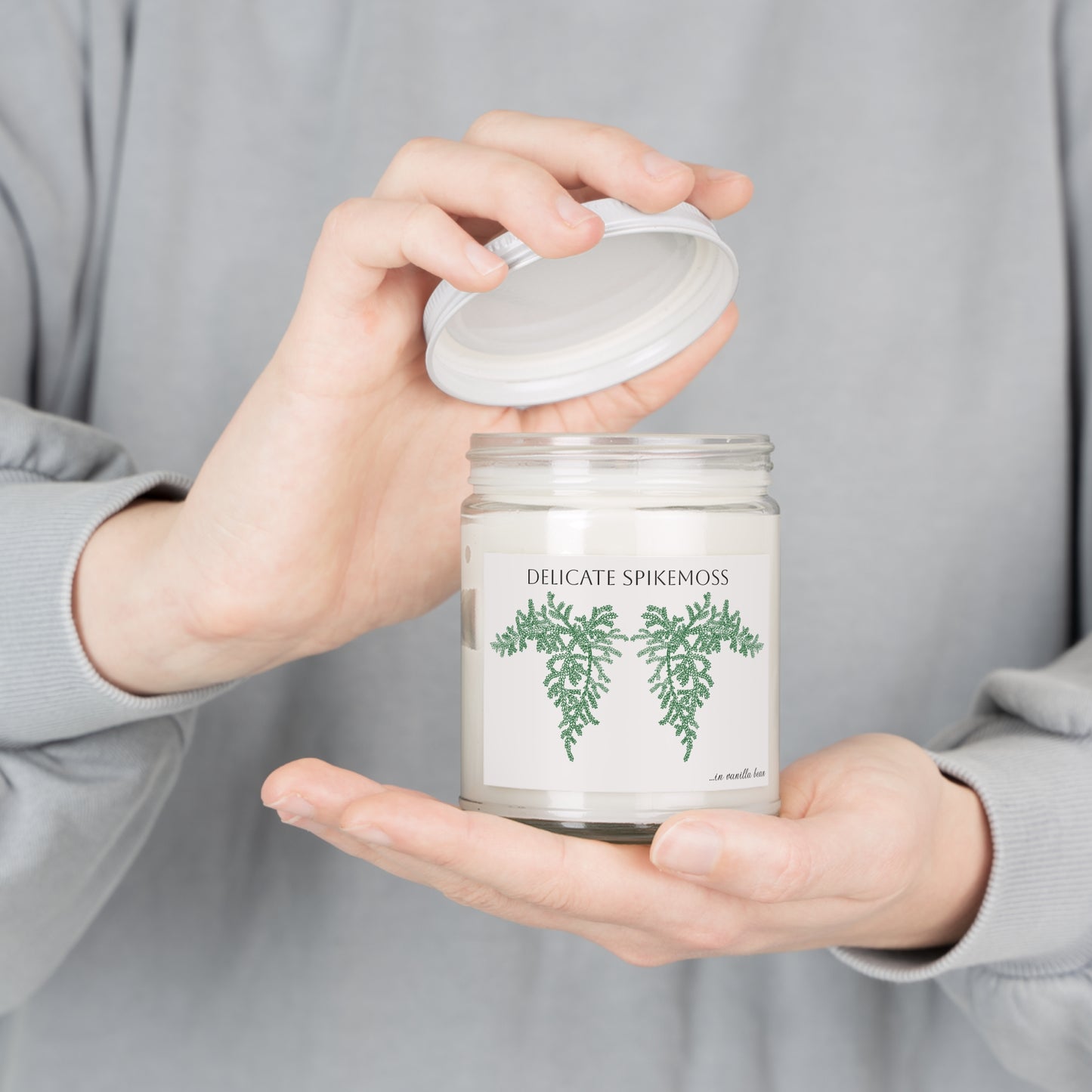 EcoFriendly Candles, featuring Delicate Spikemoss hand drawn art available in lovely non-toxic fragrances.