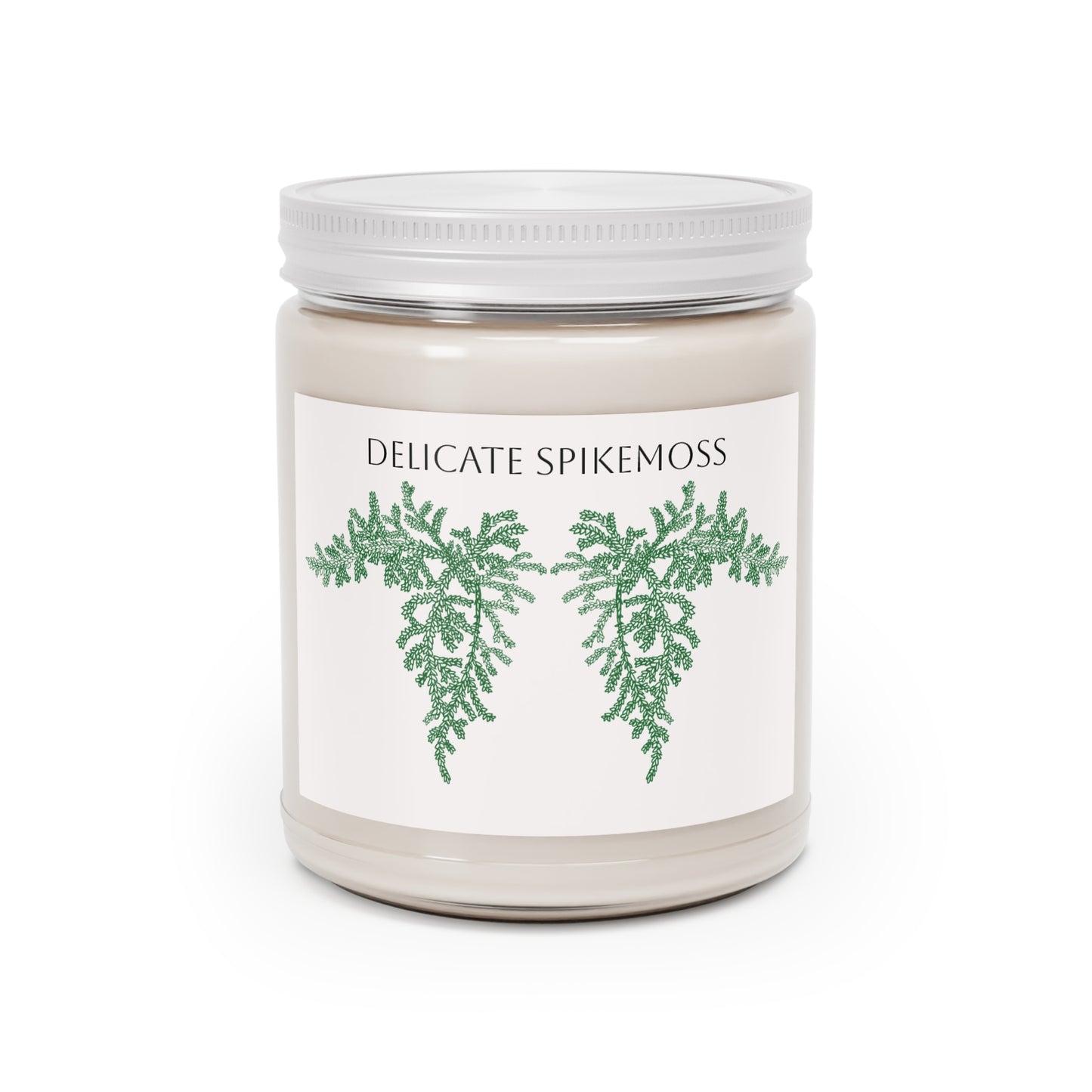 EcoFriendly Candles, featuring Delicate Spikemoss hand drawn art available in lovely non-toxic fragrances.