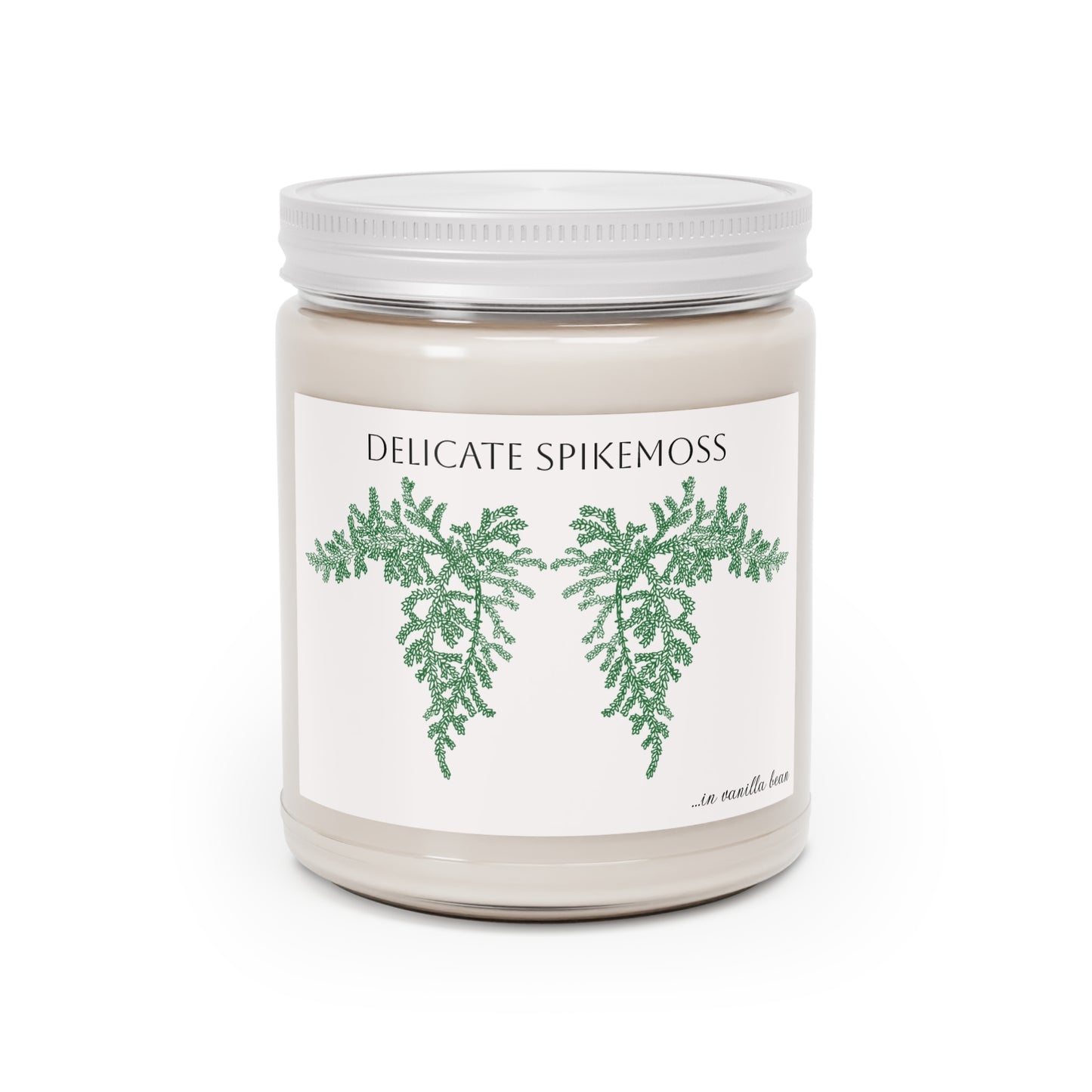 EcoFriendly Candles, featuring Delicate Spikemoss hand drawn art available in lovely non-toxic fragrances.