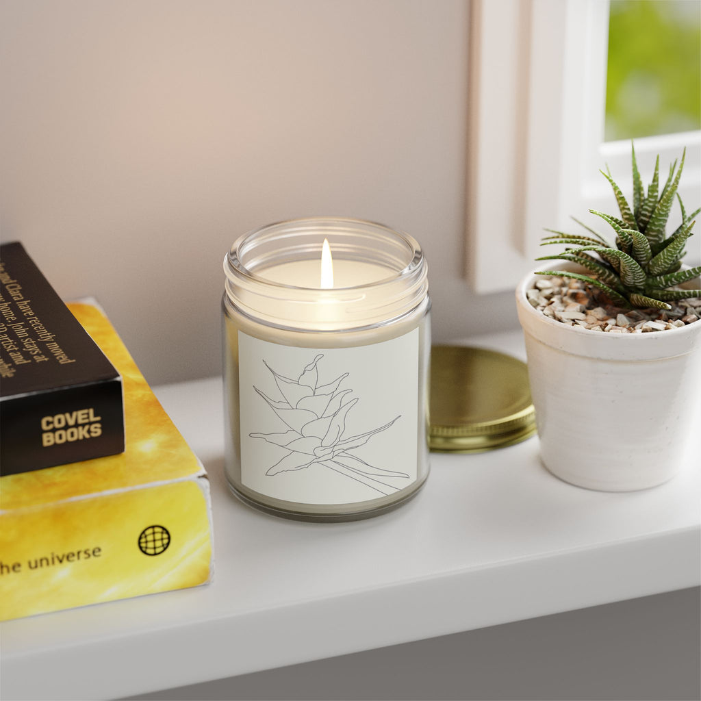 Non-toxic Scented Candle, Puerto Rico Botanical Bromeliad