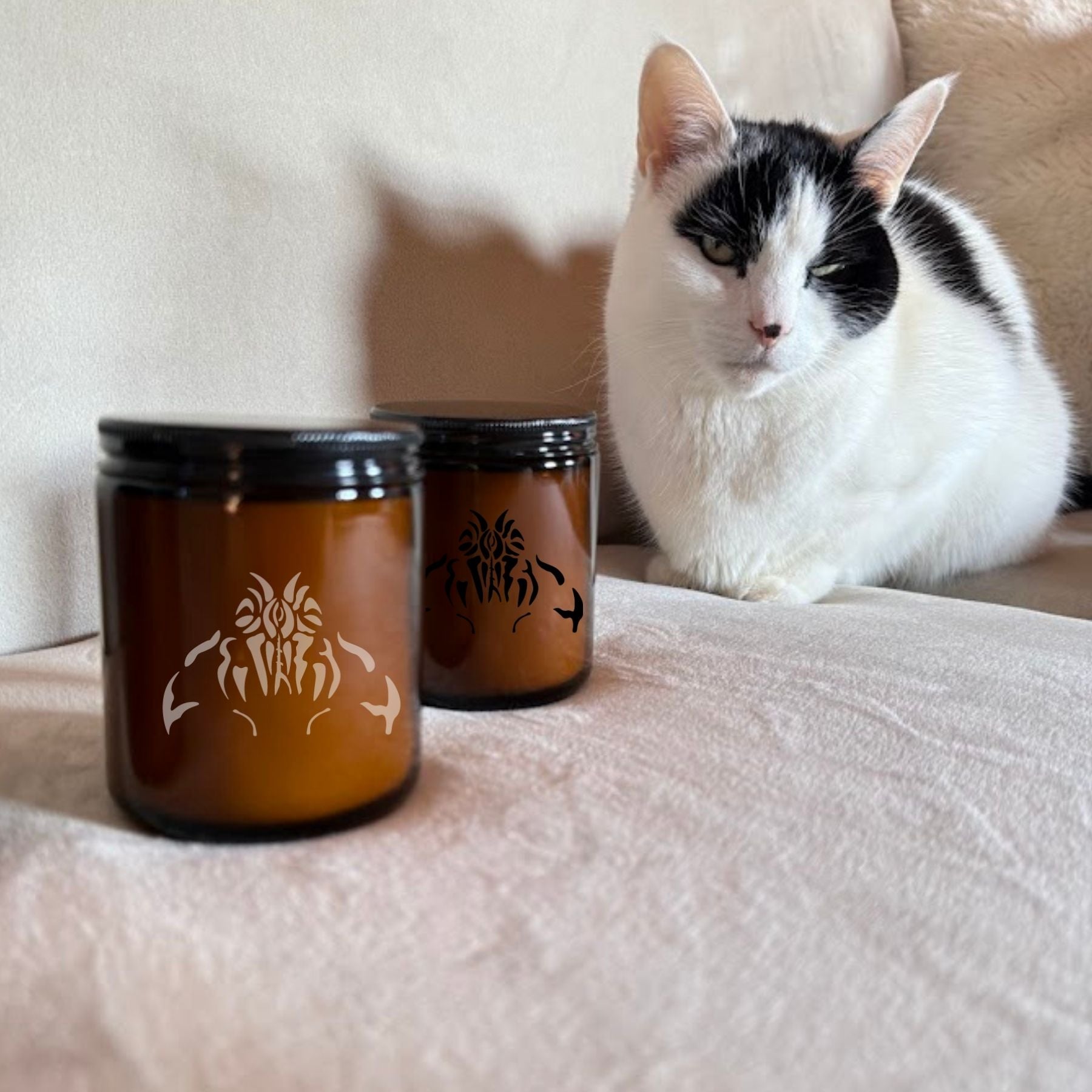 Clean Scent Aromatherapy Candle, Amber Glass